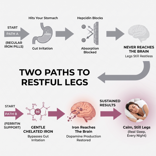 Ferritin Support