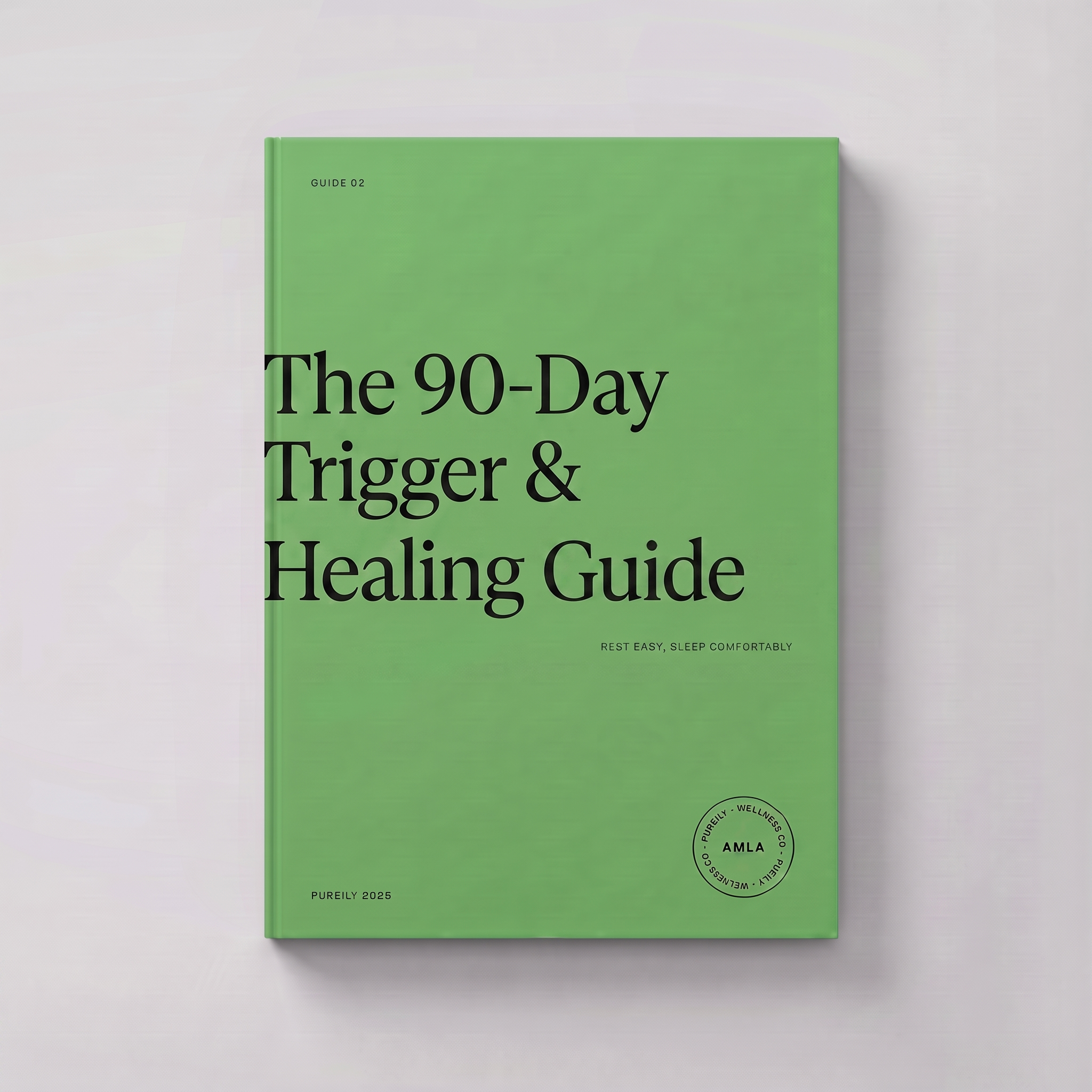The 90-Day Trigger & Healing Guide